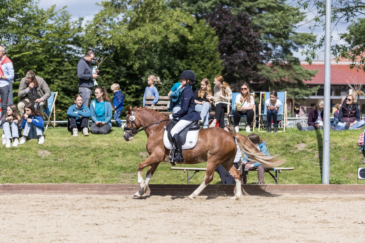 Bild 690 - Pony Akademie Turnier